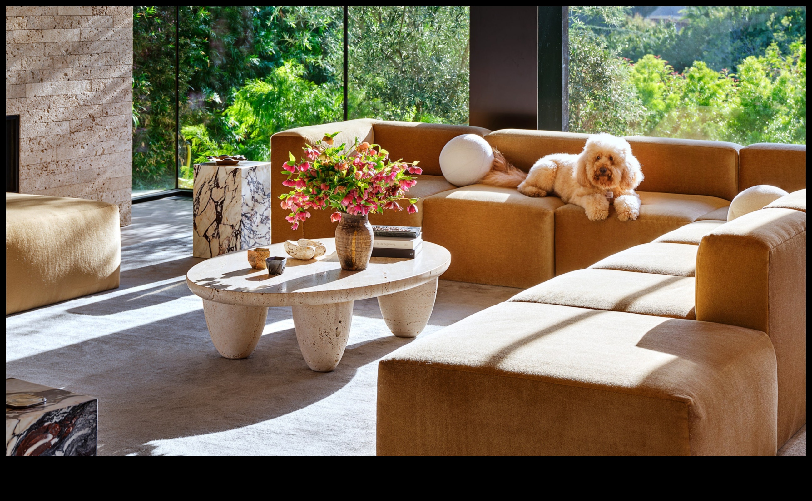 أفكار ديكور منزلية أنيقة وصديقة للحيوانات الأليفة