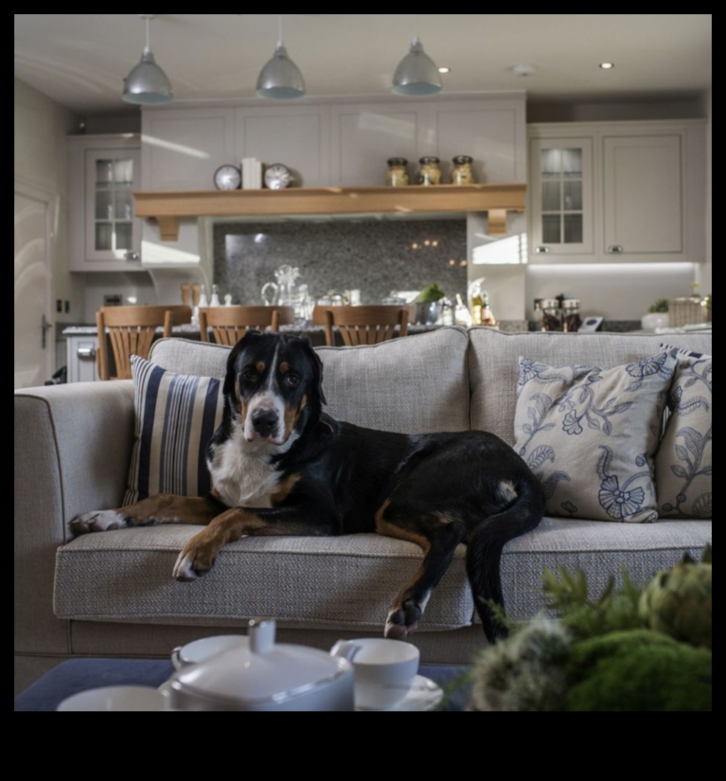 أفكار ديكور منزلية أنيقة وصديقة للحيوانات الأليفة